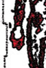 mini logo