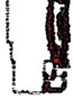 mini logo
